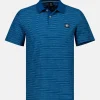 Herenpoloshirt, gestreept