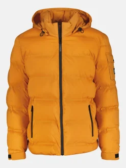 Warm gevoerde, gewatteerde blouson met verborgen capuchon